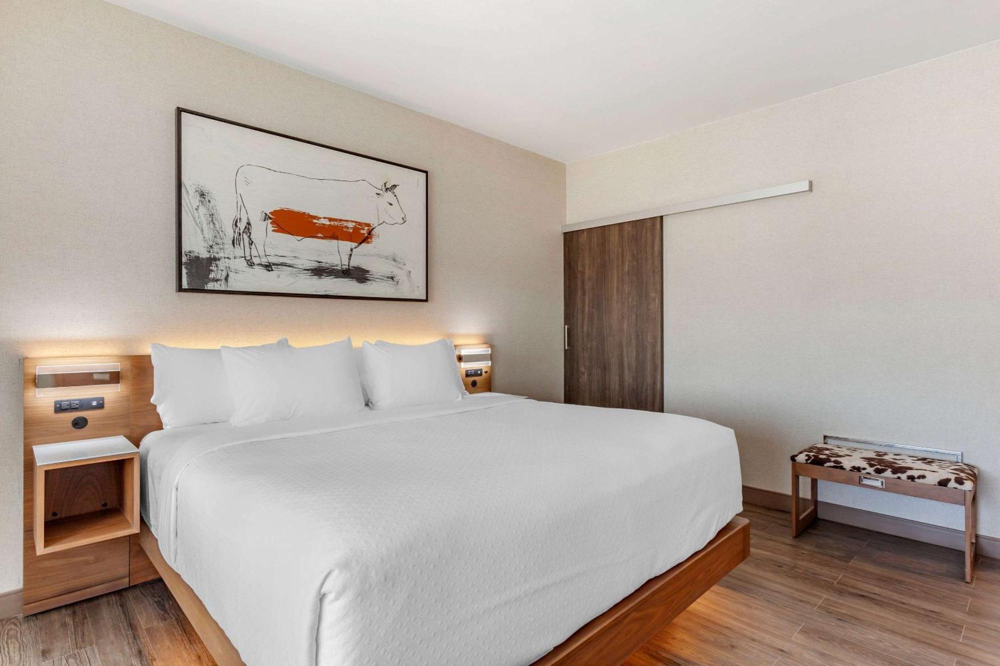 Cambria Hotel Richardson - Dallas Extérieur photo